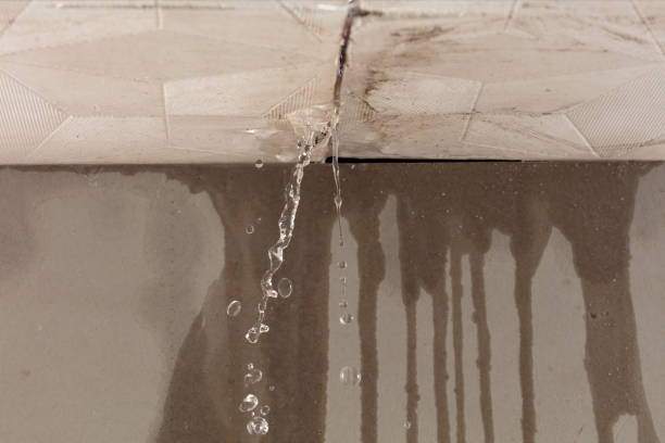 Professional Flood Damage Cleanup technician working in Papaikou, HI